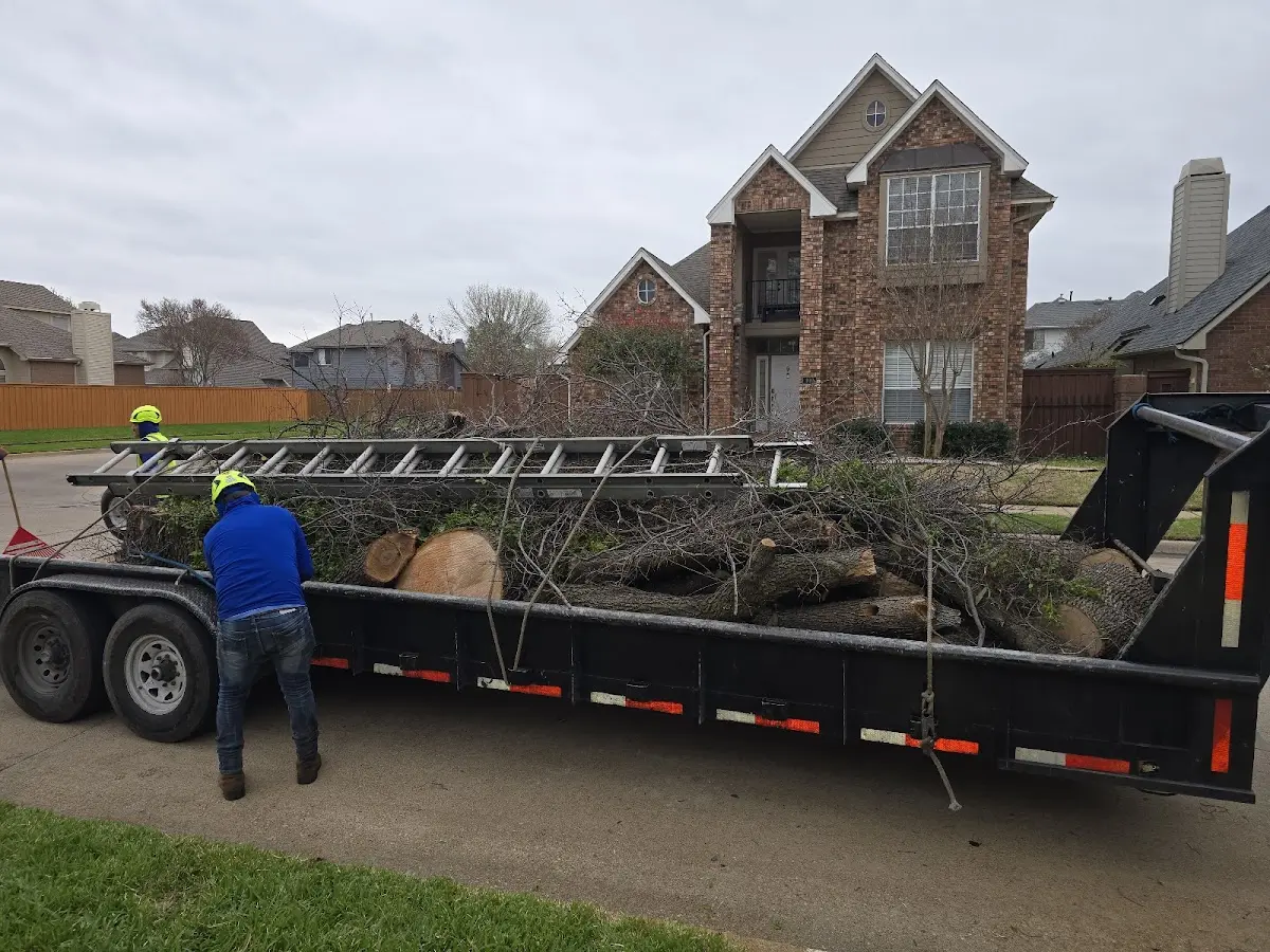 Expert Tree Fertilization with proper safety equipment in Poland